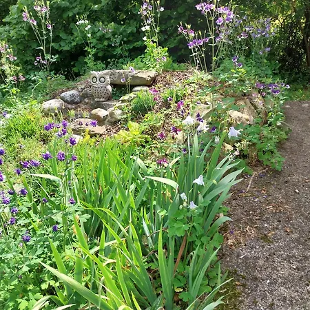 Les Bernus Отель типа 