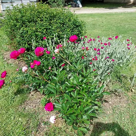 Les Bernus Monfaucon (Dordogne)