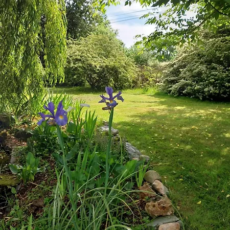 Bed and breakfast Les Bernus