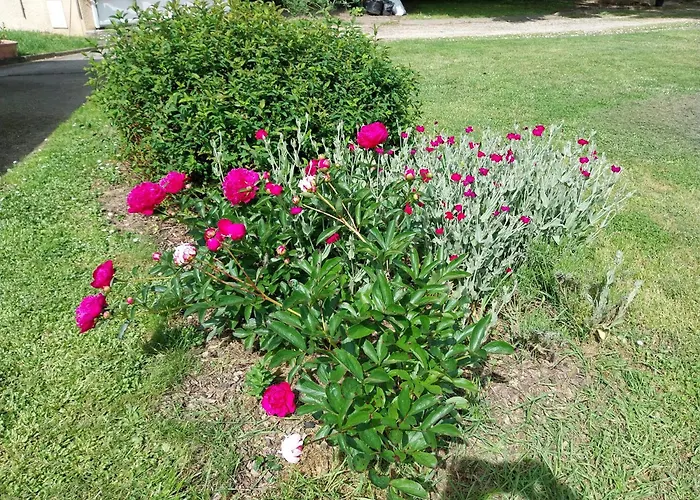 Les Bernus Monfaucon (Dordogne)
