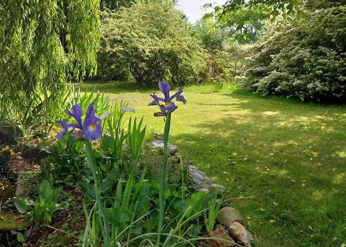 住宿加早餐酒店 Les Bernus