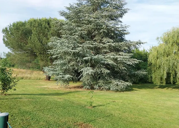 住宿加早餐酒店 Les Bernus